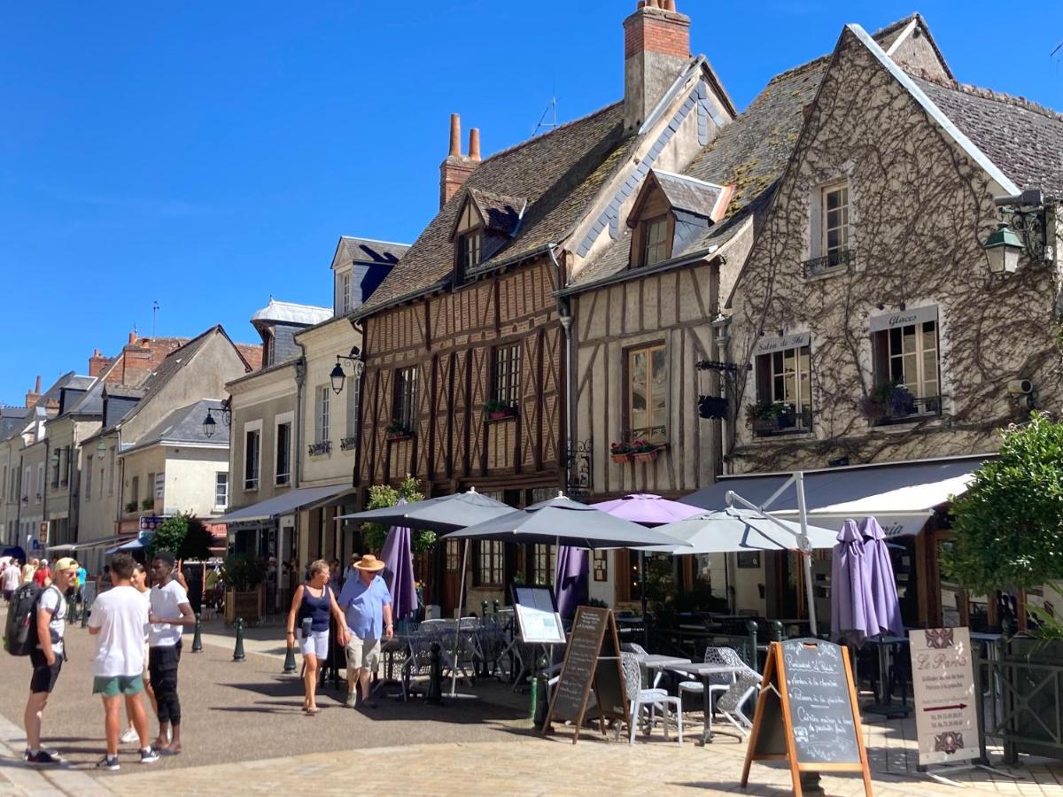L'Amboisienne, Au Pays Des Chateaux 阿姆博斯 外观 照片